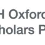 The National Institutes of Health (NIH) Oxford Informational Webinar on November 26, 2024